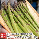 新潟産 グリーンアスパラガス 超極太サイズ（1kgあたり12～15本程度）1kg ファーム小栗山【野菜/採れたて/太いアスパラガス/縦箱/冷蔵便】【送料無料】