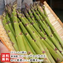 新潟産 グリーンアスパラガス 1kg 選べる 普通サイズ 〜 極太サイズ ファーム小栗山 野菜 採れたて アスパラ 縦箱 冷蔵便 新潟県 生産者直送 お取り寄せ...