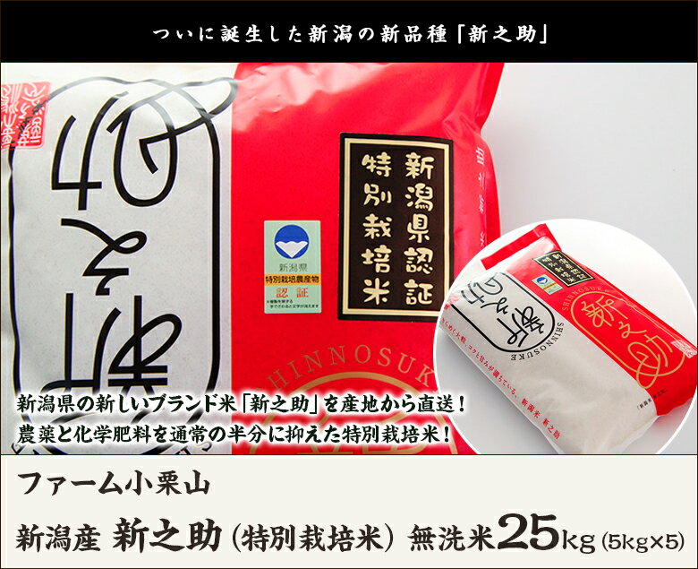 【令和3年度米】新潟産 新之助（特別栽培米）無洗米25kg（5kg×5） ファーム小栗山【新潟県産しんのすけ/新ブランド米/減農薬・減化学肥料】【お土産/手土産/プレゼント/お中元ギフトに！贈り物】【送料無料】