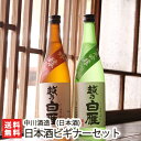 越乃白雁 日本酒ビギナーセット（吟醸・純米吟醸）720ml×2本 中川酒造【日本酒/清酒/吟醸酒/純米吟醸酒/辛口/淡麗/越淡麗/地酒】【お土産/手土産/プレゼント/ギフトに！贈り物】【送料無料】