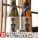 おちょこ2個付き！越乃白雁 親子で晩酌日本酒セット（吟醸三年古酒・本醸造）720ml×2本 中川酒造【日本酒/清酒/吟醸酒/純米吟醸酒/辛口/五百万石/越淡麗/地酒】【お土産/手土産/プレゼント/ギフトに！贈り物】【送料無料】