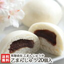 まんじゅう 新潟名寺の名物茶屋が作る「乙（きのと）まんじゅう」20個入り（冷凍）【酒まんじゅう/饅頭/お土産/あんこ/乙法寺】【お土産/手土産/プレゼント/ギフトに！贈り物】【送料無料】