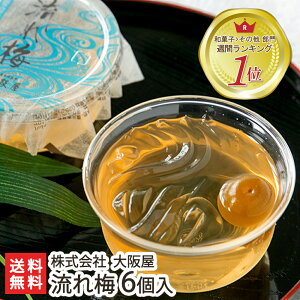 新潟涼菓 流れ梅 6個入 大阪屋【紀州産の梅果汁/くずきり風のゼリー/和菓子/老舗】【お土産/手土産/プレゼント/ギフトに！贈り物】【送料無料】お中元ギフトにも！