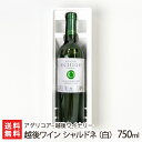 商品説明 内容 越後ワイン シャルドネ（白）750ml 商品について ※出荷のタイミングにより、葡萄の収穫年数が変わる場合があります。※販売時期により、ラベルの年数が異なります。 ワインプロファイル メルロータイプ：辛口・ミィディアム飲み頃温度：15〜17℃アルコール度数：12度使用葡萄品種：南魚沼市産メルローカベルネソーヴィニヨンタイプ：辛口・ミィディアム飲み頃温度：15〜17℃アルコール度数：12度使用葡萄品種：南魚沼市産カベルネソーヴィニヨンシャルドネタイプ：辛口飲み頃温度：13〜15℃アルコール度数：12度使用葡萄品種：南魚沼市産シャルドネ 配送方法 ヤマト運輸（通常便） 保存方法 高温を避けた冷暗所が好ましい 返品交換 生鮮品・食品などの商品の性質上、返品・交換はお受けできません。 ただし、配送中の事故により、お届けした商品に傷みや破損がある場合や、到着した商品がお申込み頂いた商品と異なっていた場合には、返品・交換を承ります。 ご連絡は商品到着日・並びに翌日以内にお願い致します。 生産者 アグリコア - 越後ワイナリー のし・包装サービス 場所 内のし(二重包装) 形状 普通のし / 短冊のし 表書き 寿(紅白結びきり) / 寿(紅白蝶結び) / 御祝(紅白結びきり) / 御祝(紅白蝶結び) / 御中元 / 御歳暮 / 御年賀 / 粗品 / 内祝(紅白結びきり) / 内祝(紅白蝶結び) / 御礼(慶事) / 御礼(弔事) / 無地のし(慶事) / 無地のし(弔事) / 暑中御見舞 / 残暑御見舞 / 寒中御見舞 / 志(仏事) / 御見舞 / 快気祝 / 御新築祝 名入れ 対応可能 関連商品リスト 越後ワイナリーの商品一覧 通販/産地直送/新潟名物/産直/新潟県産/新潟産/母の日/父の日/敬老の日/こどもの日/子供の日/お中元/御中元/お歳暮/御歳暮/お年賀/御年賀/ご挨拶/香典返し/バレンタインデー/ホワイトデー/ハロウィン/贈り物/贈答用/プレゼント/ギフト/プチギフト/のし/熨斗/のし無料/熨斗無料/送料無料/おみやげ/お土産/包装/ラッピング/特産品/名物/端午の節句/暑中見舞い/暑中御見舞/残暑見舞い/残暑御見舞/寒中見舞い/寒中御見舞/内祝い/御祝い/逸品/誕生日祝い/誕生日御祝/還暦祝い/米寿/お取り寄せグルメ/入学祝い/入学御祝/合格祝い/合格御祝/引っ越し祝い/引っ越し御祝/快気祝い/快気内祝/ご当地グルメ/B級グルメ/老舗の味/ご自宅用/クリスマス/イベント/引出物/上司/同僚/七五三/ひな祭り/成人の日/成人式/お返し/寿/御見舞/越後/出産祝い/出産内祝/贈答品お間違いのないようお気をつけて下さい。 越後セーベルスパークリング（白） 越後ワイン 雪季（せっき） 越後ワイン 越後ワイナリーの商品一覧 アグリコア - 越後ワイナリーの商品一覧へ