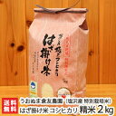 【30年度米】南魚沼 塩沢産 はざ掛け米 コシヒカリ(特別栽...