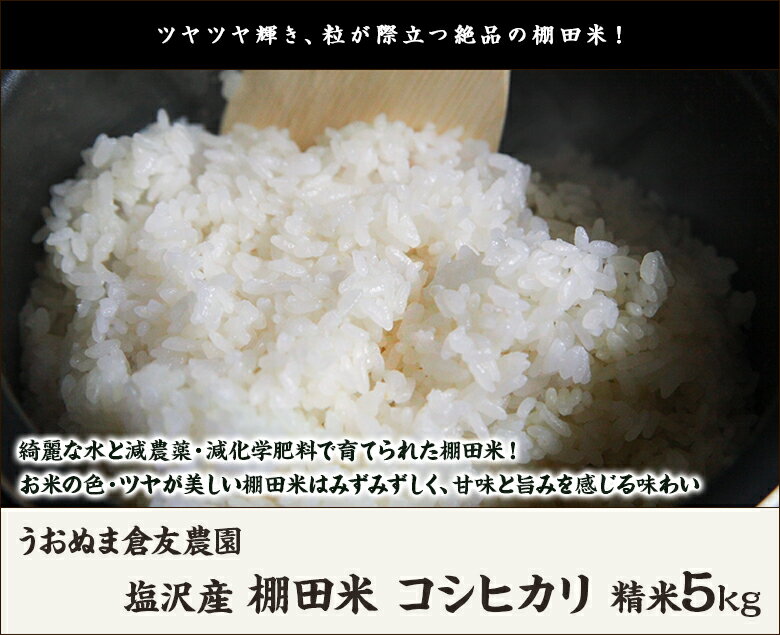 【令和5年度米】特別栽培米 南魚沼 塩沢産 棚...の紹介画像2