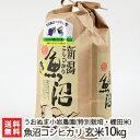 特別栽培米（減農薬・減化学肥料）魚沼産コシヒカリ 玄米10kg 株式会社うおぬま小岩農園【県認証特別栽培/こしひかり/白米/ツバメの棚田米】【お土産/手土産/プレゼント/ギフトに！贈り物】【送料無料】父の日やお中元ギフトにも！