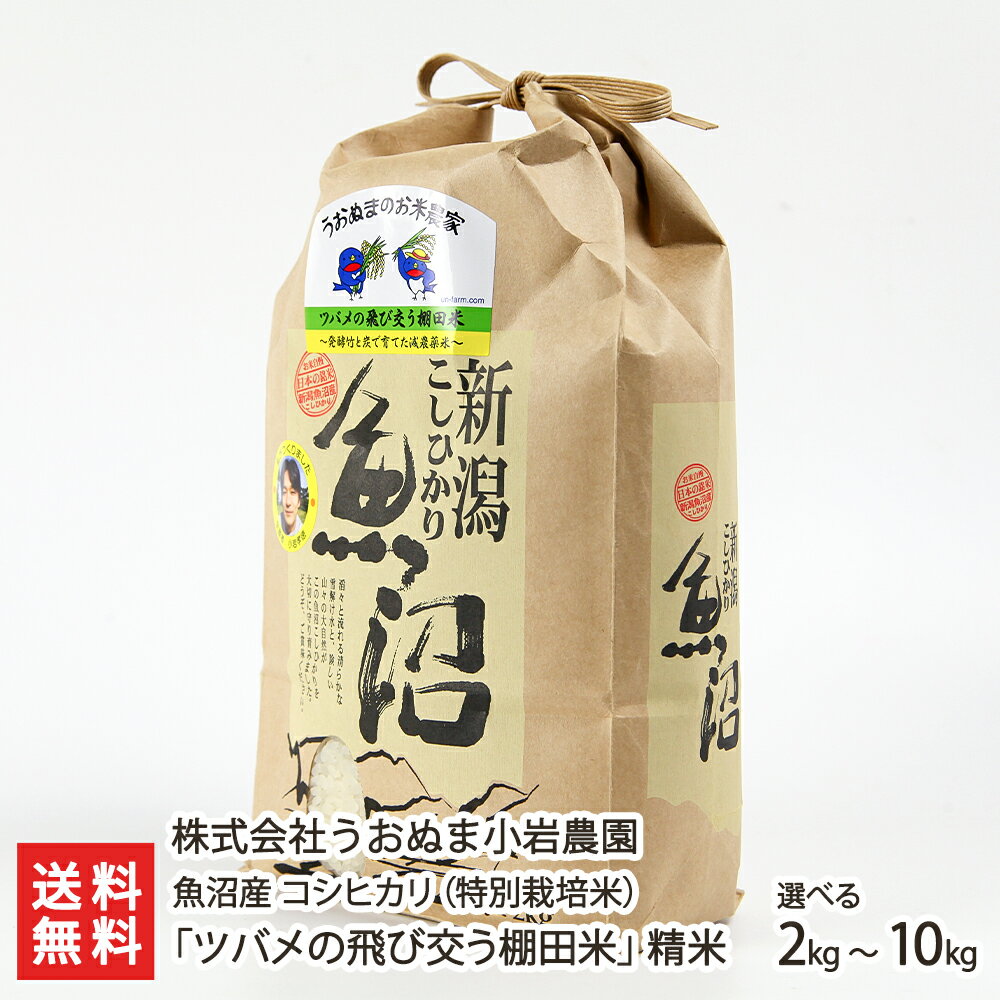 【令和3年度米】新潟 魚沼産 特別栽培米コシヒカリ 玄米10kg 株式会社うおぬま小岩農園【県認証特別栽培/こしひかり/白米/ツバメの棚田米】【お土産/手土産/プレゼント/お中元ギフトに！贈り物】【送料無料】