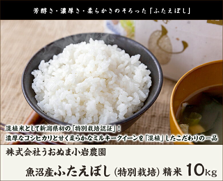 【令和3年度米】魚沼産 ふたえぼし（特別栽培米）精米10kg 株式会社うおぬま小岩農園【コシヒカリとミルキークイーンの混植/新潟産/新潟県産/特栽米/魚沼米】【送料無料】