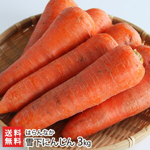 雪下にんじん 3kg はらんなか【完全無農薬栽培！】【雪下にんじん 津南産】【送料無料】