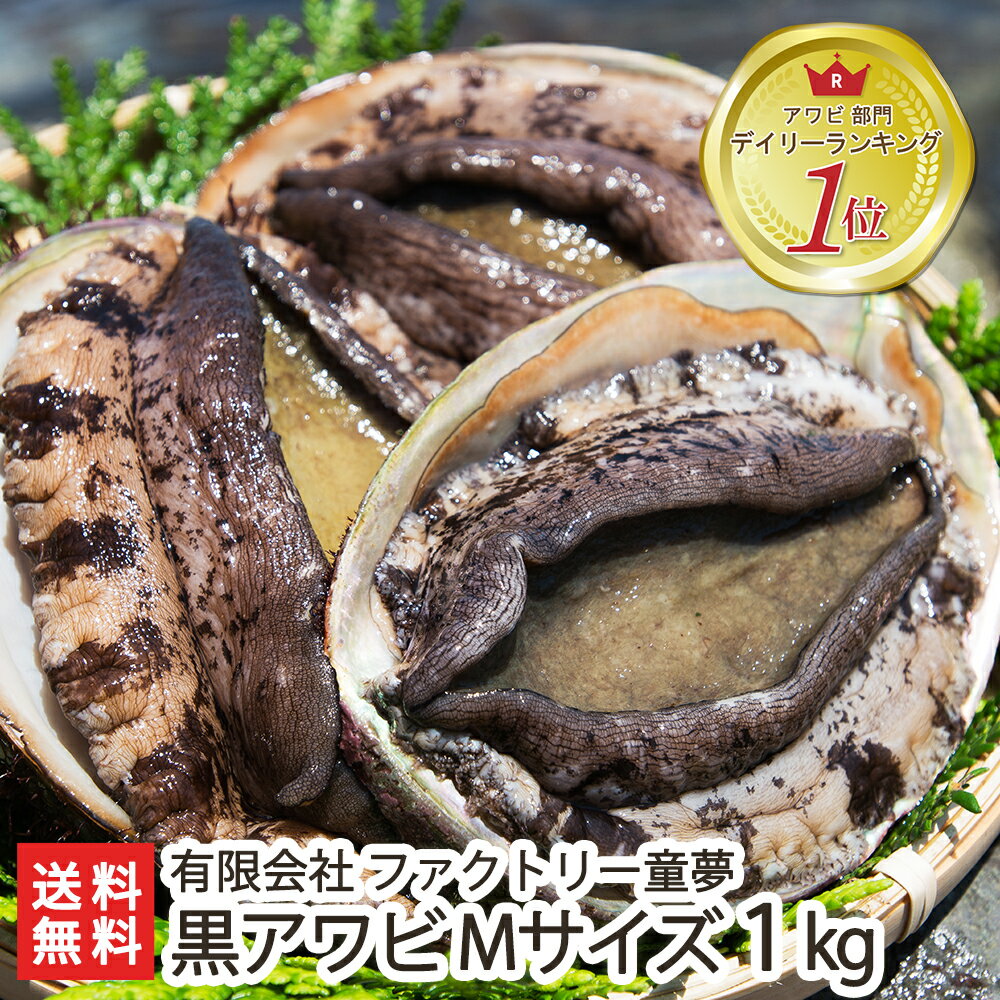 佐渡産「活」黒アワビ Mサイズ 1kg ファクトリー童夢【エアーポンプ付/鮮度抜群】【代金引換・後払い不可】【送料無料】