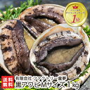 佐渡産「活」黒あわび Mサイズ 1kg ファクトリー童夢【アワビ/エアーポンプ付/鮮度抜群】【代金引換・後払い不可】【送料無料】お歳暮ギフトにも！