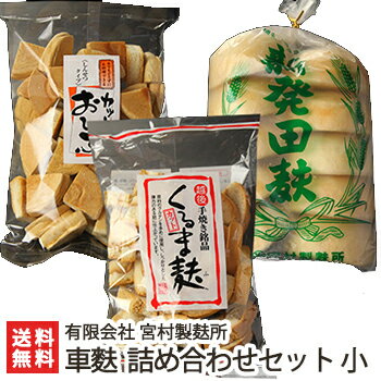 麩 詰め合わせセット小（カットおしぶ100g、カット車麩100g、新発田麩10個×1袋）有限会社 宮村製麸所 父の日 お中元