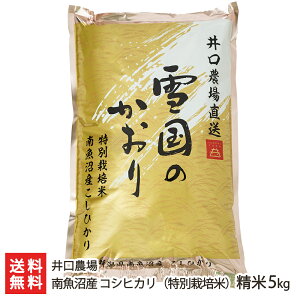 【令和4年度新米】南魚沼産 特別栽培米 コシヒカリ 精米5kg 井口農場【県認証特別栽培/こしひかり/白米/うるち米】【お土産/手土産/プレゼント/ギフトに！贈り物】【送料無料】