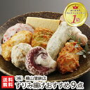 横山蒲鉾店 老舗のすりみ揚げ おすすめ9点盛り【カマボコ/揚