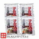 けんちん汁 4パック入り 有限会社アド・グッズ 生産者直送 送料無料【新潟直送計画 郷土料理 レトルト食品 お惣菜 巻繊汁】