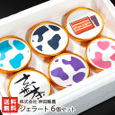 牧場直送!ジェラート 6個セット(ミルク, チョコレート, 塩糀ミルク, 玄米茶, いちごミルク, ブルーベリーチーズ) 株式会社 神田酪農 生産者直送【スイー...