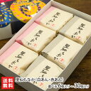 新潟銘菓 里仙もなか(白あん・赤あん)6個入 〜 30個入 株式会社里仙 最中 白餡 赤餡