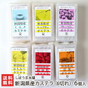 新潟産カステラ6切れ×6個入り(はちみつ×1、ミルク×1、洋なし×1、ストロベリー×1、紅茶×1、ブルーベリー×1)しばうま本舗【お土産/手土産/プレゼント/ギ...