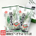 越後 生へぎそば 6人前(330g×3袋入り)麺匠高野【※1袋あたりの内容:麺135g×2、つゆ30g×2】【新潟名物/へぎ蕎麦/新潟そば/ソバ/そばセット/生...