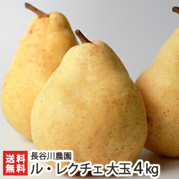 洋梨 ルレクチェ 贈答用 大玉 4kg（8～10玉）長谷川農園 新潟県産 産地直送 送料無料【ル・レクチェ 洋ナシ 洋なし お取り寄せ フルーツ】【お土産/手土産/ギフトに！贈り物】【送料無料】 父の日 お中元