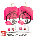 下田豚カレー 2袋入り こくわ屋藤兵衛【新潟 産地直送 特産 フルーツ こくわ カレー 豚肉 ご当地カレー】【お土産/手土産/プレゼント/ギフトに 贈り物】【送料無料】