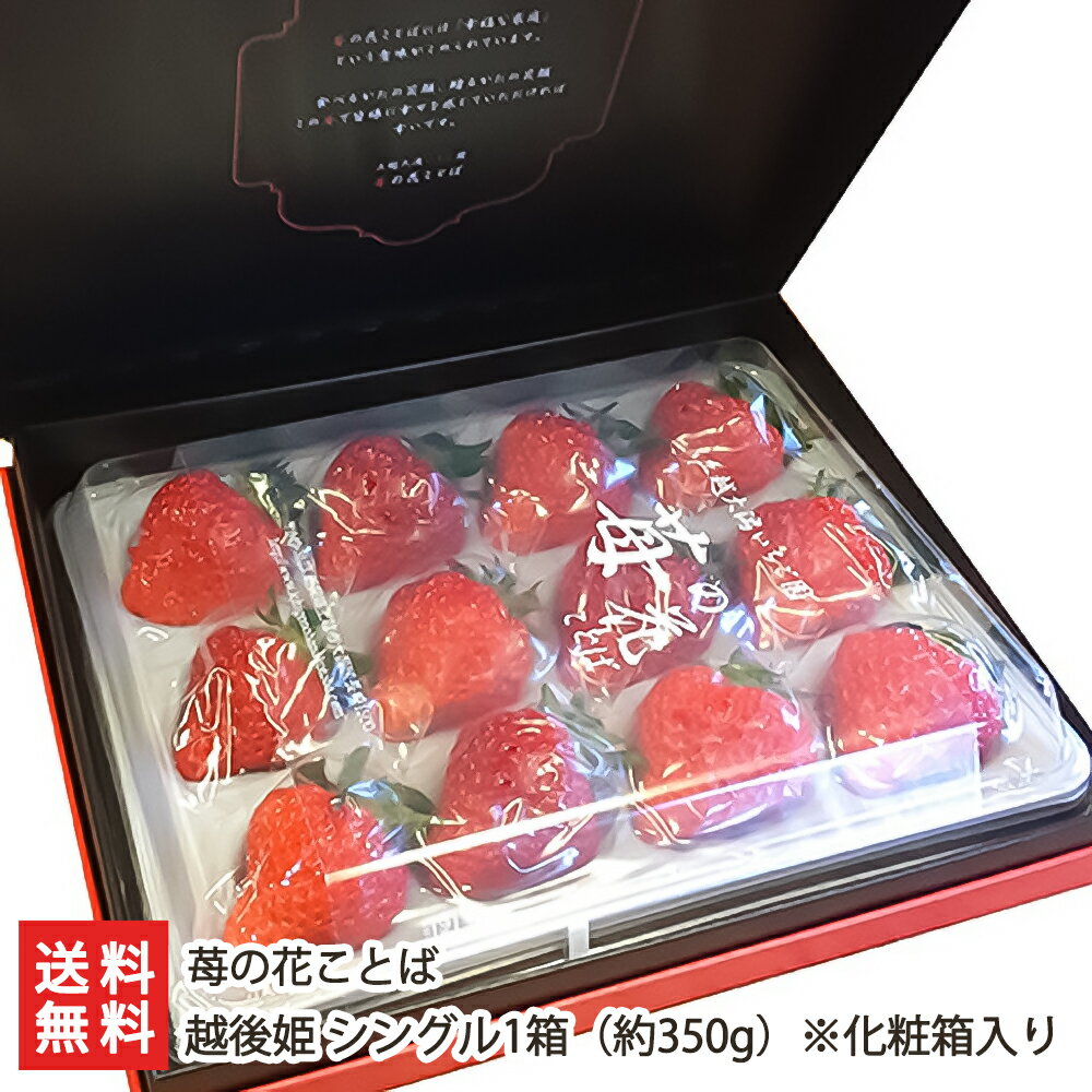 いちご 越後姫 シングル1箱（約350g/9～15粒）※化粧箱入り 苺の花ことば【いちご/イチゴ/採れたて産地直送/新鮮摘みたて】【お土産/手土産/プレゼント/ギフトに！贈り物】【送料無料】 父の日 お中元