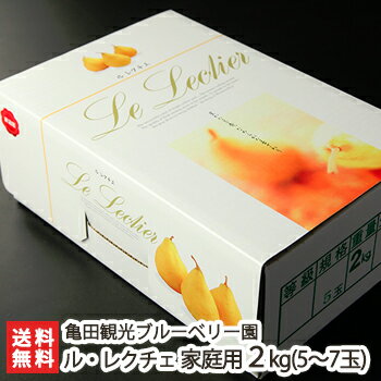 洋梨 ルレクチェ 家庭用 5～7玉（2kg）亀田観光ブルーベリー園 新潟県産 産地直送 送料無料【新潟直送計画 ル・レクチェ 洋ナシ 洋なし お取り寄せ フルーツ お買い得 訳あり品】