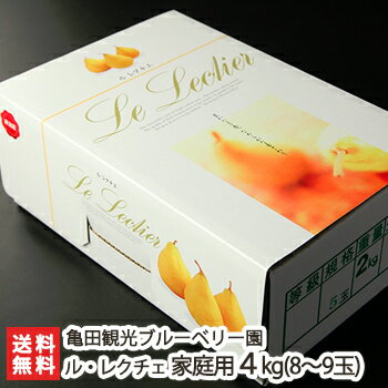 洋梨 ルレクチェ 家庭用 8～9玉（4kg）亀田観光ブルーベリー園 新潟県産 産地直送 送料無料【新潟直送計画 ル・レクチェ 洋ナシ 洋なし お取り寄せ フルーツ お買い得 訳あり品】 父の日 お中元