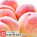 【家庭用】新潟産 桃 2kg(6~8玉) くだもの屋にへじ 訳あり もも モモ もぎたて ジューシー 新潟県産桃 新潟県 生産者直送 お取り寄せ 送料無料