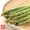 新潟県産 グリーンアスパラガス M〜2Lサイズ混合 1kg (約30〜35本) 大日 やたえいのう アスパラ アスパラガス 新鮮 朝どり 新潟県 生産者直送 お...