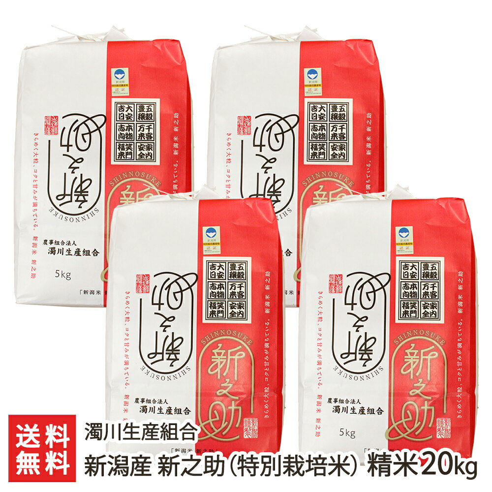 【令和5年度米】特別栽培米（減農薬・減化学肥料）新潟産 新之助 精米20kg（5kg×4）濁川生産組合【白米/うるち米/新潟県産/しんのすけ/産地直送栽培】【お土産/手土産/ギフトに！贈り物】【送料無料】 1