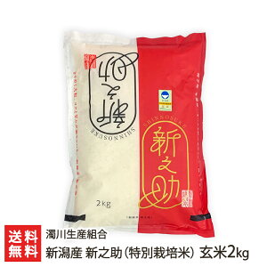 【令和2年度米】新潟産 新之助（特別栽培米）玄米2kg 濁川生産組合【新潟県産/しんのすけ/産地直送/減農薬・減化学肥料栽培】【ギフトに！贈り物・内祝いに！のし（熨斗）無料】【送料無料】