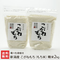 【令和5年度米】新潟産 こがねもち（もち米）精米2kg（1kg×2袋） 濁川生産組合 産地直送【コガネモチ/餅米/ライス/お赤飯/おこわ/お正月】【お土産/手土産/プレゼント/ギフトに！贈り物】【送料無料】