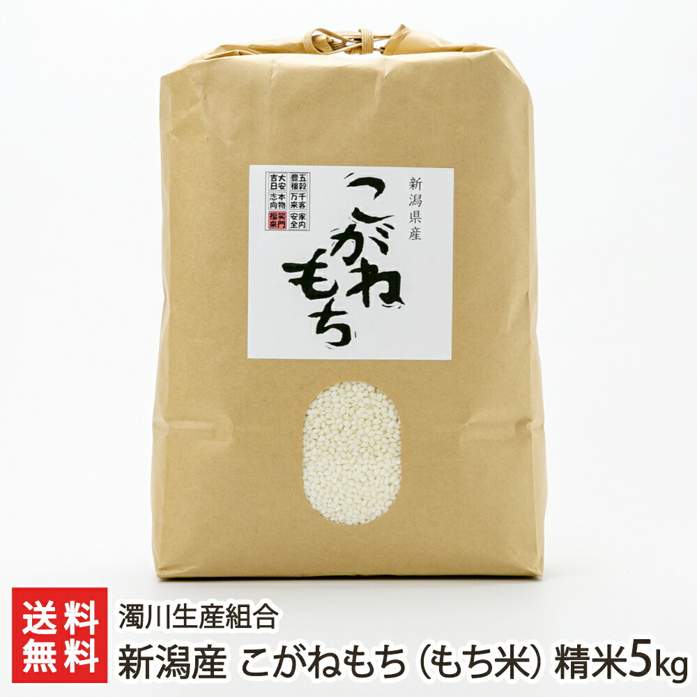 【令和5年度米】新潟産 こがねもち もち米 精米5kg 濁川生産組合【コガネモチ/餅米/ライス/お赤飯/おこわ/お正月】【お土産/手土産/プレゼント/ギフトに 贈り物】【送料無料】 父の日 お中元