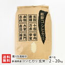 【令和7年度新米】 新潟県産コシヒカリ 玄米 2kg ~ 20kg 濁川生産組合 白米 うるち米 新潟県産 こしひかり 越光 産地直送 新潟県 生産者直送 お取り寄せ ギフト プレゼント 贈り物 送料無料