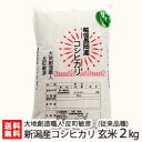 【令和5年度米】新潟産コシヒカリ（従来品種）玄米 2kg【無農薬・無化学肥料/新潟県産こしひかり/非BL/従来種/従来型/幻のコシヒカリ/クラシックコシヒカリ】【お土産/手土産/プレゼント/ギフトに！贈り物】【送料無料】