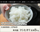 【令和5年度米】新潟産コシヒカリ（従来品種）玄米 5kg【無農薬・無化学肥料/新潟県産こしひかり/非BL/従来種/従来型/幻のコシヒカリ/クラシックコシヒカリ】【お土産/手土産/プレゼント/ギフトに！贈り物】【送料無料】 2