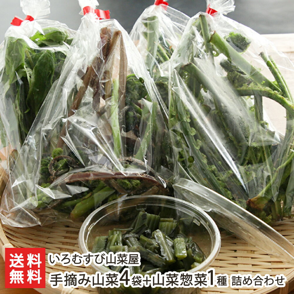 手摘み山菜4袋+山菜惣菜1種 詰め合わせ いろむすび山菜屋 生産者直送 送料無料【お惣菜 一人暮らし 仕送り お取り寄せグルメ】