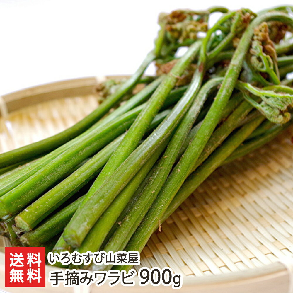 手摘みワラビ 900g（180g×5袋 アク抜き済） いろむ