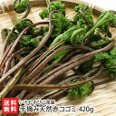 手摘み天然赤コゴミ 420g(70g×6袋) いろむすび山菜屋 産地直送 送料無料【採れたて直送 新鮮 鮮度抜群 天ぷら 煮物 味噌汁】