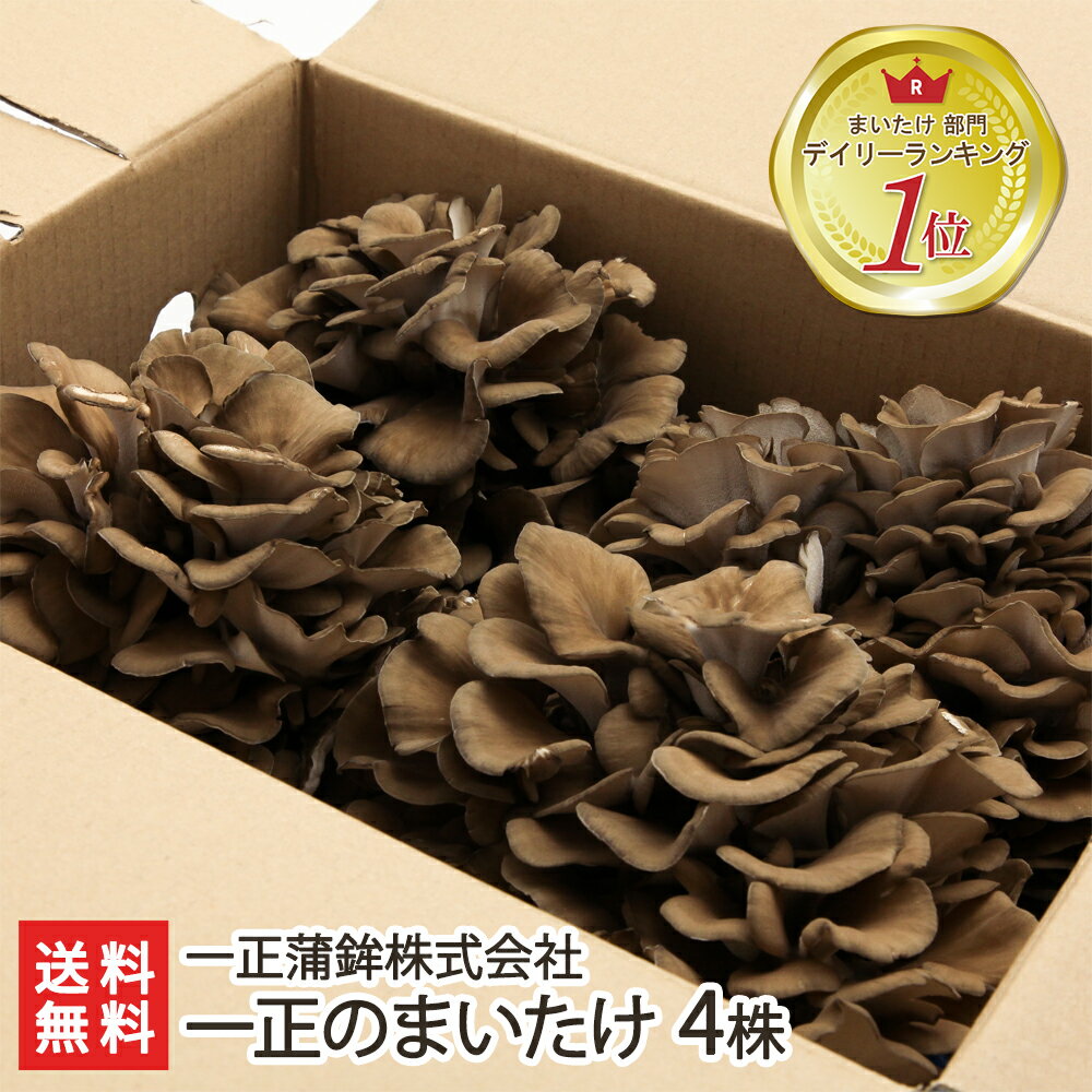 ޤΤޤ4440g4˰ȳҡ/Τۡ㥫꡼/ʪ/̵/̵/֤ʪŷפˡۡڤڻ/ڻ/ץ쥼/եȤˡ£ʪ̵ۡ