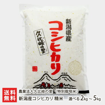 【令和元年度米】新潟産 コシヒカリ（特別栽培米）精米5kg【お米/新潟米/減農薬・減化学肥料/こしひかり/うるち米/白米/新潟県産】【贈り物・内祝いに！のし（熨斗）無料】【送料無料】