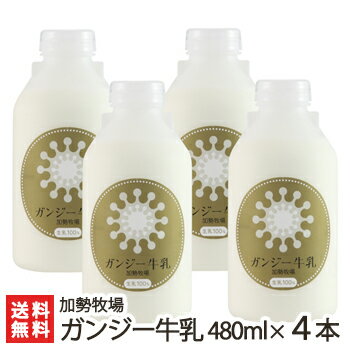 新潟 ガンジー牛乳 480ml×4本セット 加勢牧場 【希少な乳牛/ガンジー牛/生乳100％】【ゴールデンミルク/貴族の牛乳】【贈り物・内祝いに！のし（熨斗）無料】【代金引換・後払い不可】【送料無料】