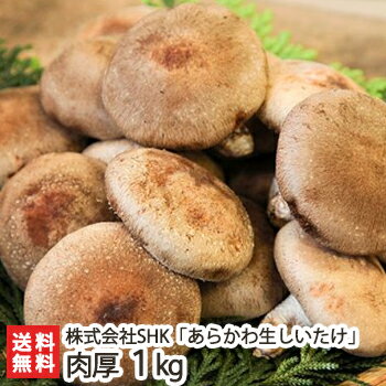 新潟産【肉厚】あらかわ生しいたけ 1kg 株式会社SHK【椎茸/シイタケ/きのこ/キノコ/ジャンボ/菌床栽培/..