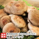新潟産【特選】あらかわ生しいたけ 5パック(約800g) 化粧箱入り 株式会社SHK 特A品 椎茸 シイタケ きのこ キノコ ジャンボ 菌床栽培 完全無農薬 無...