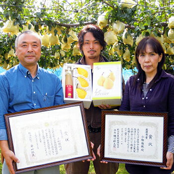 新潟産最高級ル・レクチェ果汁100%ジュース500ml×3本セット ヤマヨ果樹園 【幻の洋梨ルレクチェ/果物/フルーツ/詰め合わせ/自分へのご褒美・プチギフトにも！】【ギフトに！贈り物・内祝いに！のし（熨斗）無料】【送料無料】