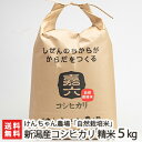 【30年度米】新潟産 自然栽培米コシヒカリ 5kg 選べる精...