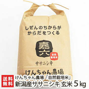 【30年度米】新潟産 自然栽培米ササニシキ 玄米 5kg けんちゃん農場【無農薬・無化学肥料/新潟県産ささにしき】【ギフト・贈り物・内祝いに！のし（熨斗）無料】【送料無料】