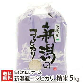 【令和5年度米】新潟 妙高矢代産コシヒカリ 精米5kg 矢代丸山ファーム【白米/うるち米/新潟県産/こしひかり】【お土産/手土産/プレゼント/ギフトに！贈り物】【送料無料】